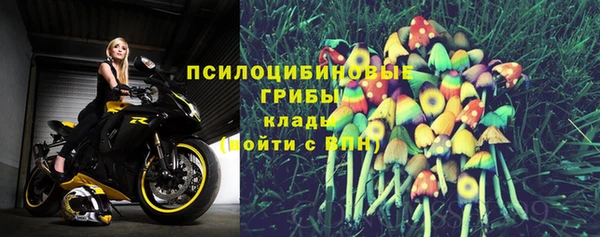 марки nbome Вяземский
