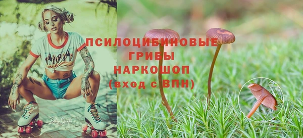марки nbome Вяземский