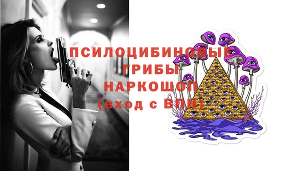 марки nbome Вяземский